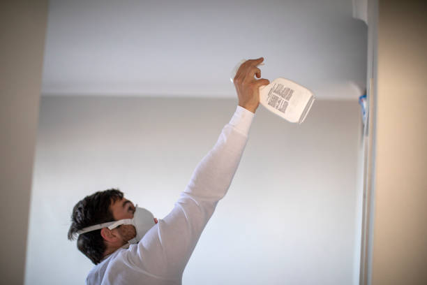 Best Mold Removal Process  in Sutton Alpine, AK