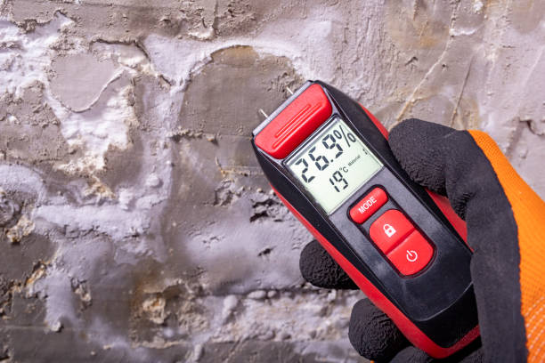 Best Residential Mold Removal  in Sutton Alpine, AK