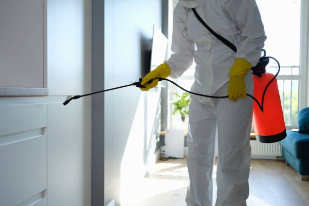 Best Office Mold Removal Services  in Sutton Alpine, AK