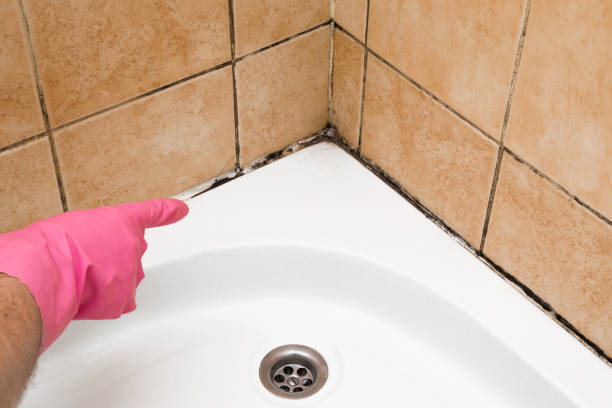 Best Commercial Mold Removal  in Sutton Alpine, AK
